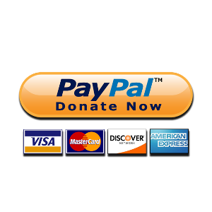 Donate PNG-33011